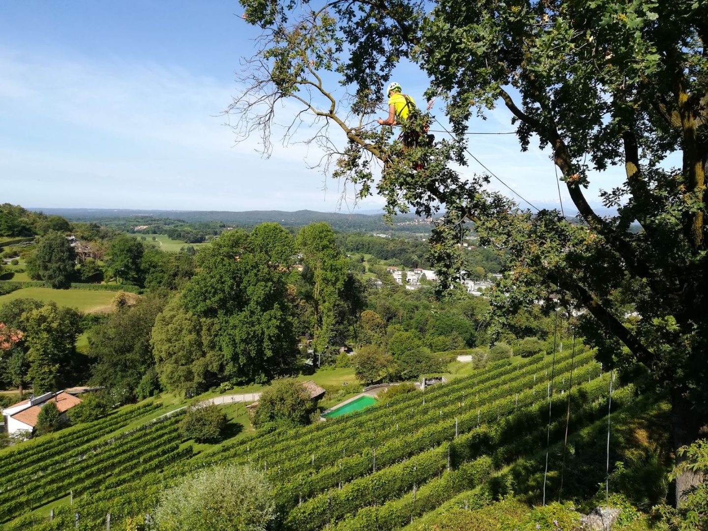 Tree climbing sul Lago Maggiore