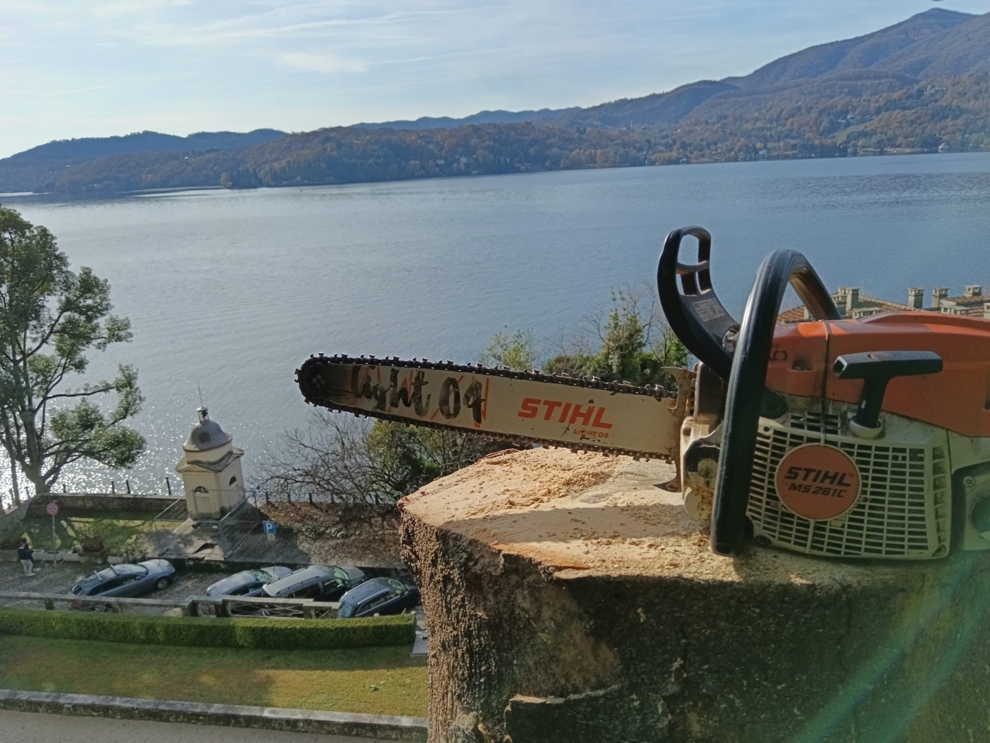Motosega STIHL su tronco con vista lago